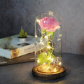 Rosa Eternal LED (A Bela e Fera)
